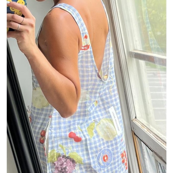 ISO urban outfitters gingham fruit sardine charlotte shift dress!! - Picture 2 of 3